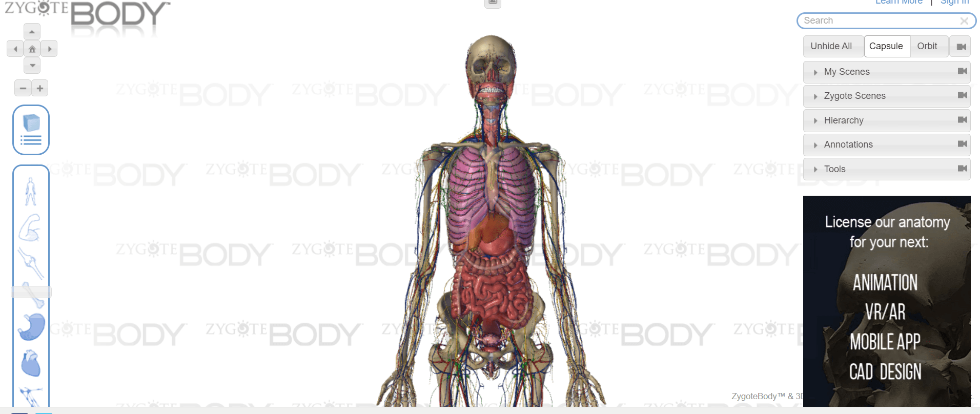 Zygote Body Anatomy 3D Interactive Presentation thumbnail 2